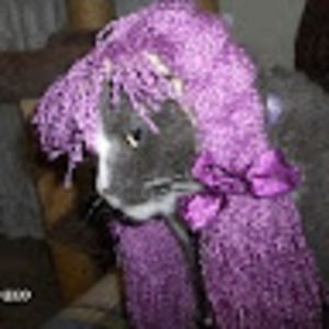 Meet your Posher, Ada